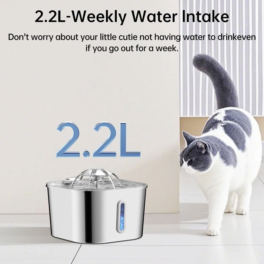 Fonte Automática para Gatos 2,2 L em Aço Inoxidável | Bomba Ultra Silenciosa, Sistema de Filtragem Contínua e Janela Indicadora do Nível de Água.